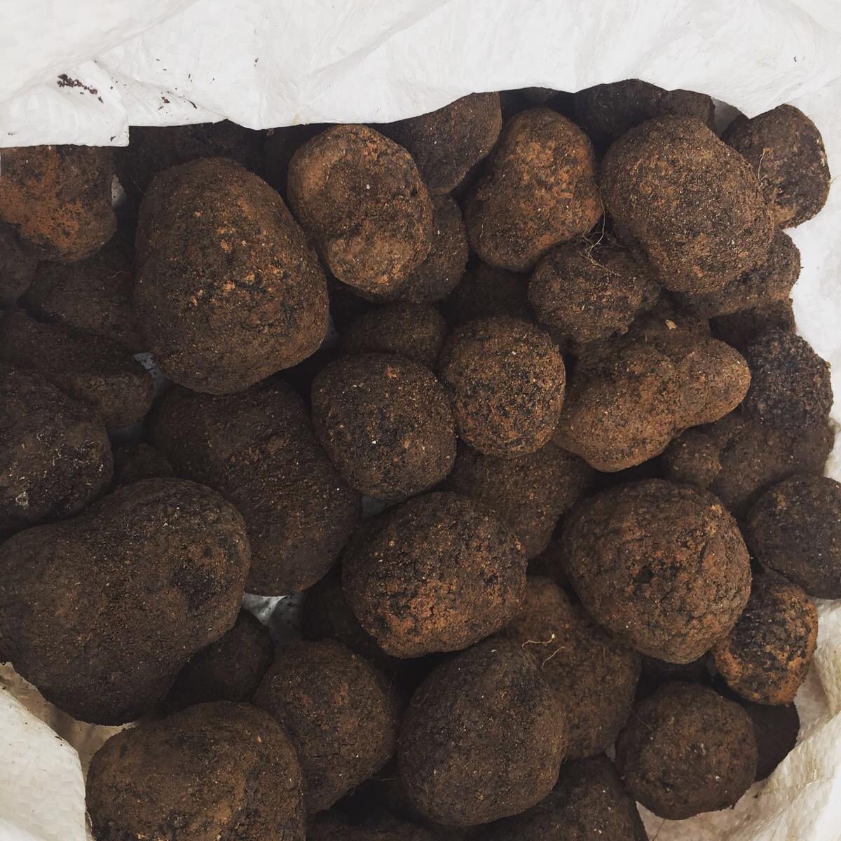 Bolsa llena de trufas.